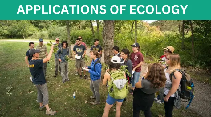 Applications in Ecology