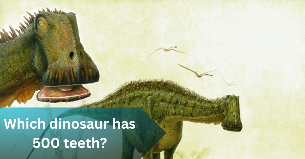 Which dinosaur has 500 teeth