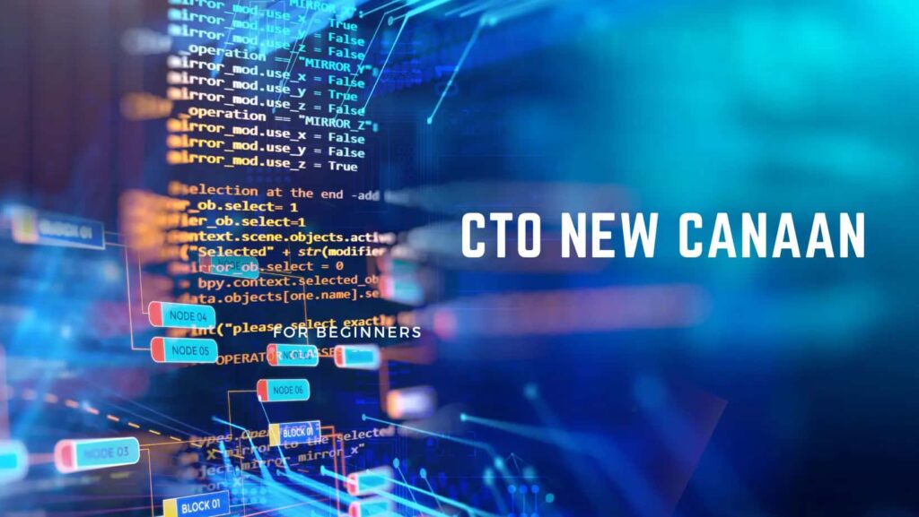 The Dynamic Role of CTO New Canaan