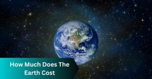 How Much Does the Earth Cost