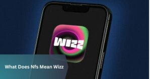 What Does Nfs Mean Wizz
